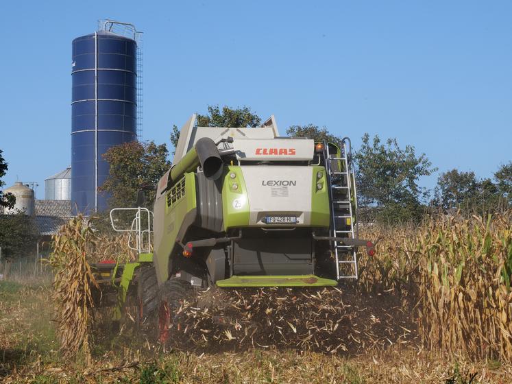 Clôture En Bois Pour La Ferme Bâtiments Agricoles Un Ensemble D