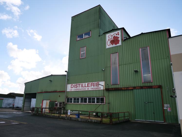 La distillerie de Thouarcé existe depuis 1905.