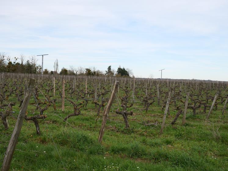 Deux tours anti-gel sont installées dans les vignes à proximité du chai. Thibaut Henrion (à gauche) a accueilli le groupe de Thomas Chassaing sur son domaine jeudi 7 mars.