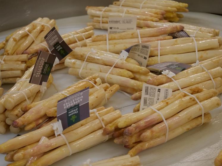 Les asperges blanches représentent 80% de la consommation mais 95% de la production française.