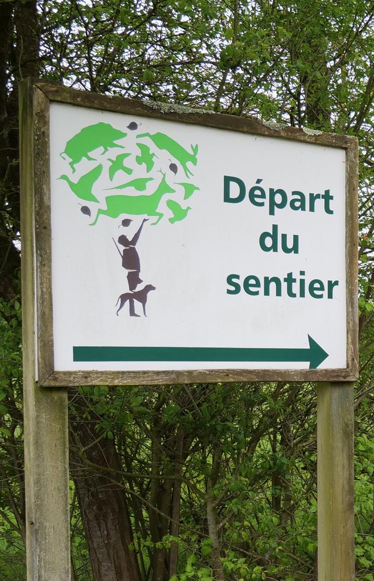 La Fédération de la Chasse organise des sorties nature tout au long de l'année, notamment à la réserve naturelle des Basses Brosses et Chevallerie à Bouchemaine, où elle a son siège depuis 1995.