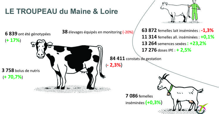 L'activité Innoval en Maine-et-Loire en 2023.