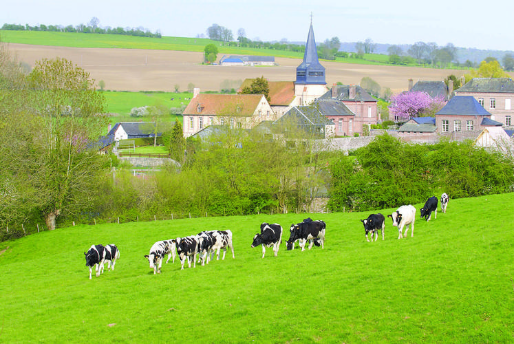 Le texte vise à mieux encadrer les conflits entre les nouveaux arrivants dans le monde rural et les agriculteurs.