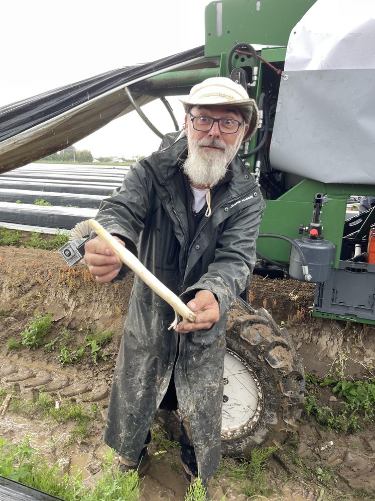 La machine détecte les asperges et les coupe avec une pince.