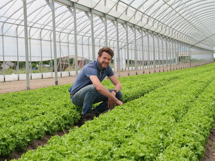 Thibaut Chesneau exploite près de 90 ha en maraîchage avec ses deux associés, à Sainte-Gemmes-sur-Loire, au sein des Ets Beaujean.