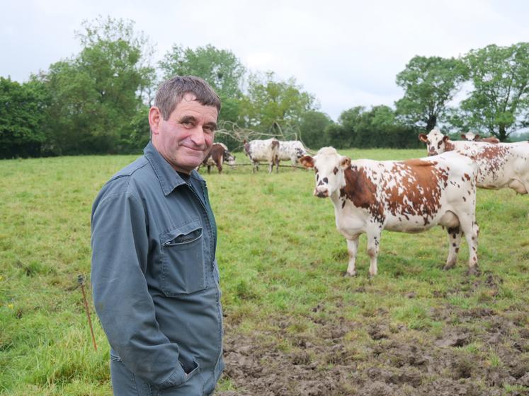 Christian Suteau conduit un troupeau de 30 Normandes sur une SAU de 65 ha, majoritairement en herbe.