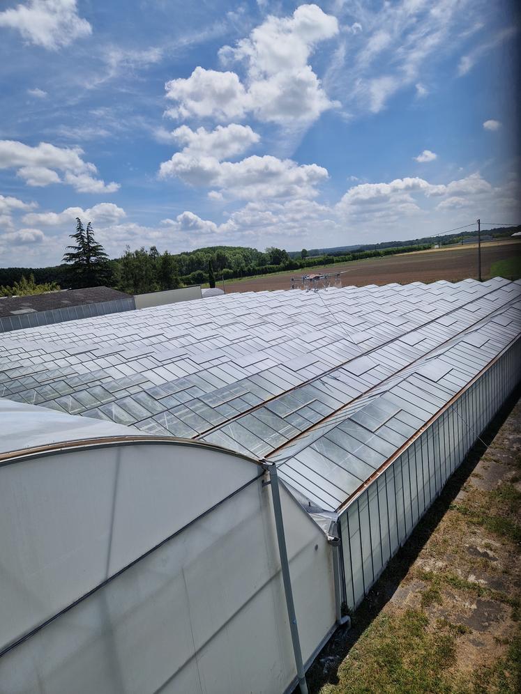 Blanchiment au drone à Bioagrumes (Tiercé). A droite, Olivier le Guillou, de LG Serres et en dessous, un chantier de blanchiment au portique aux établissements Jarry, début juin.