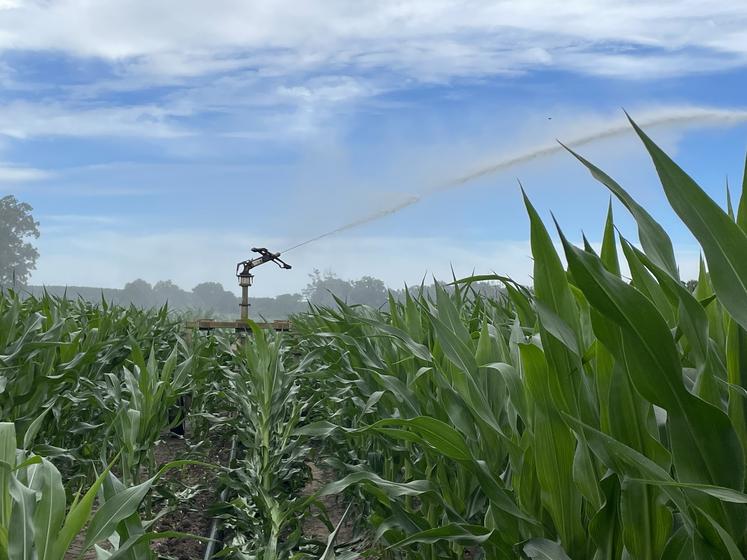 La capacité de stockage de l'eau est  liée à la texture et la profondeur de sol mais les tassements peuvent dégrader cette capacité, d'où la nécessité d'aller observer son sol.