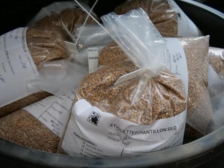 Traçabilité des grains collectés