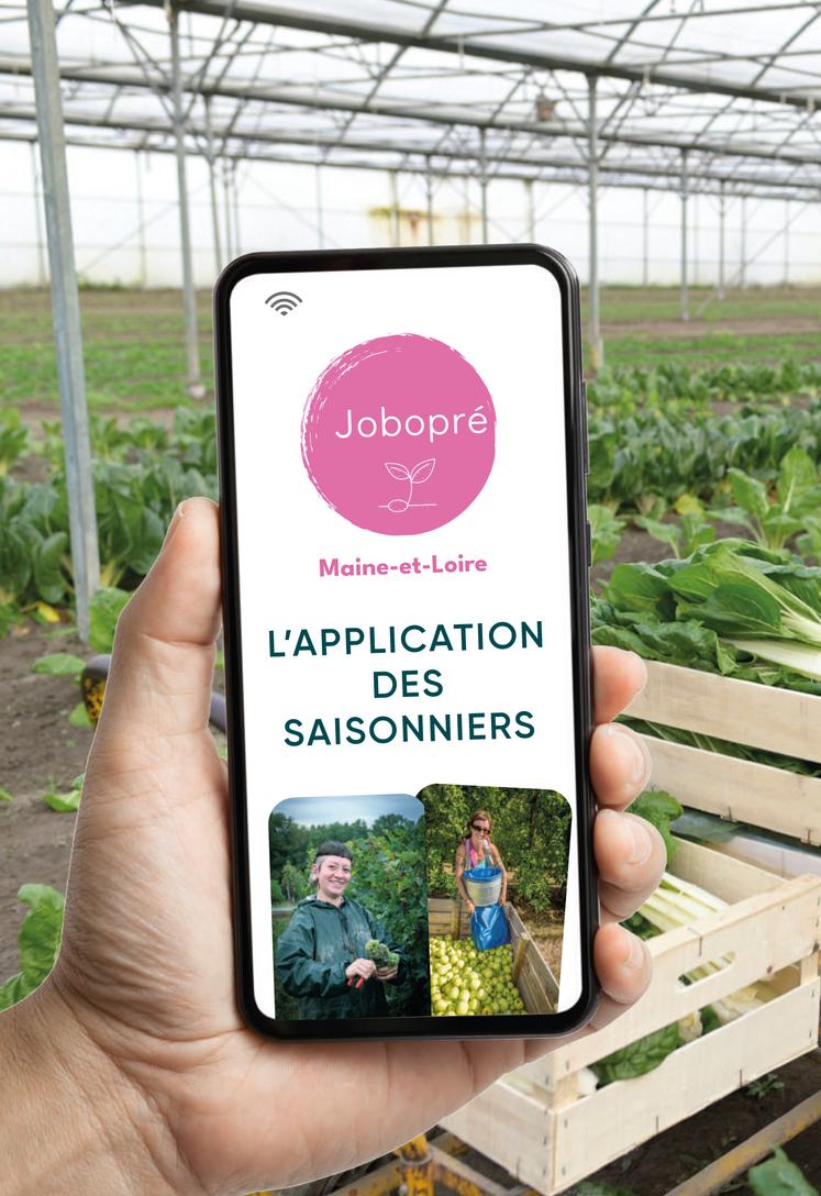 L'application Jobopré est lancée officiellement cet été.