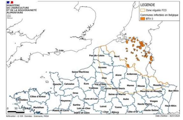 Foyers de FCO en Belgique et zone régulée depuis le 2 août.