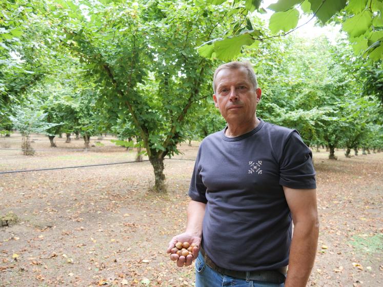 Producteur indépendant, Laurent Chiron cultive des noisettes destinées principalement au marché de la noisette en coque.