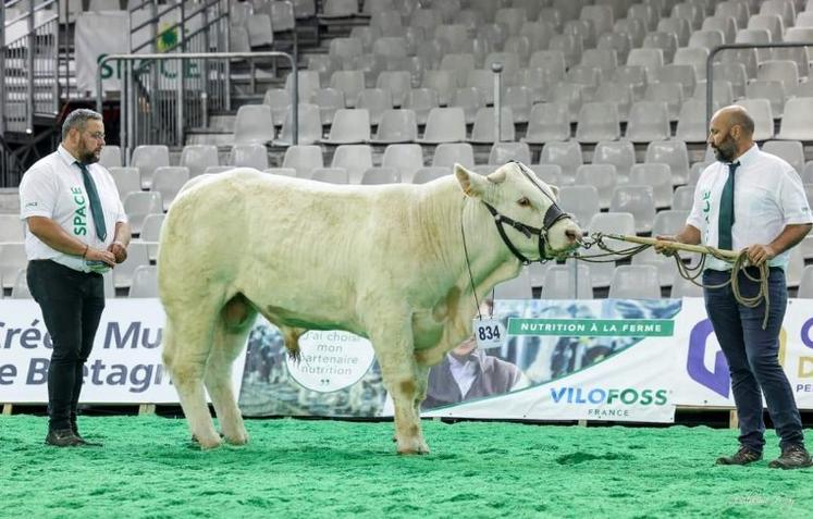 Ultra, deuxième prix de section, issu du Gaec Aillerie d'Ombrée d'Anjou.