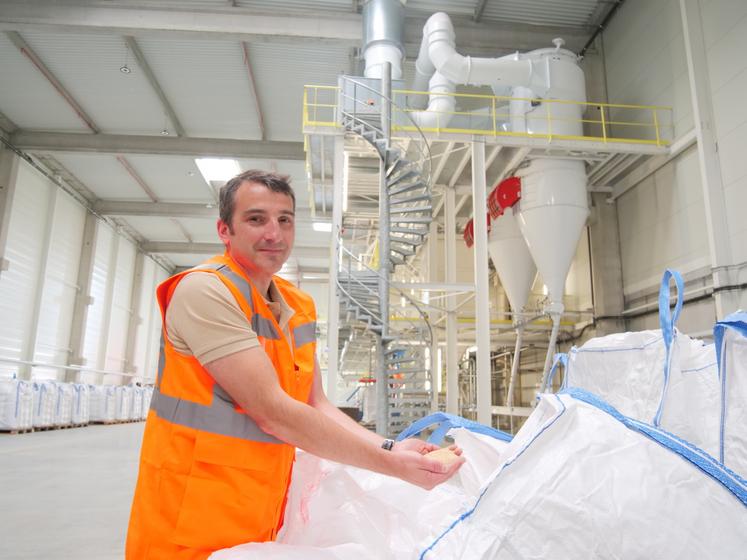 Sébastien Beauvallet, directeur céréales de la CAPL, devant l'alignement des machines : nettoyeur-séparateur, épierreur, concentrateur, table densimétrique, calibreur, trieur optique, décortiqueuse, polisseuse...