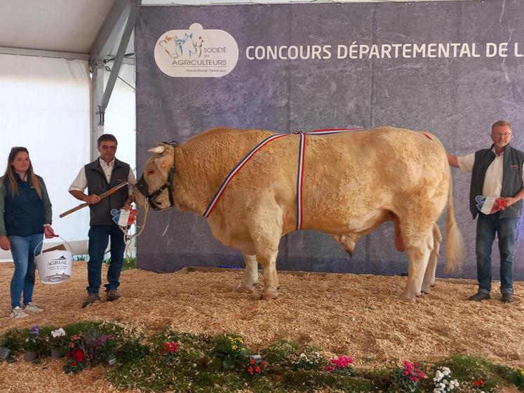 Roosevelt, grand prix d'honneur mâle au concours charolais.