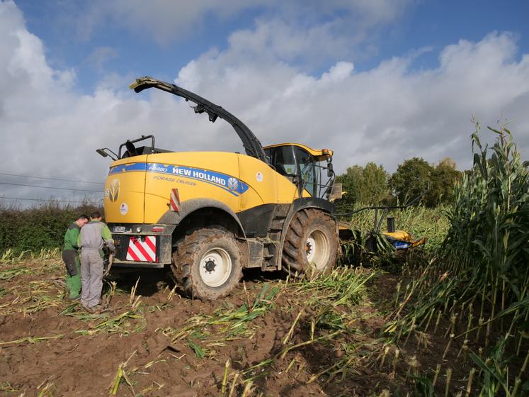 L'ensileuse de la Cuma L'Avenir embourbée, mardi, dans une parcelle de La Séguinière. Le chantier a dû être abandonné.