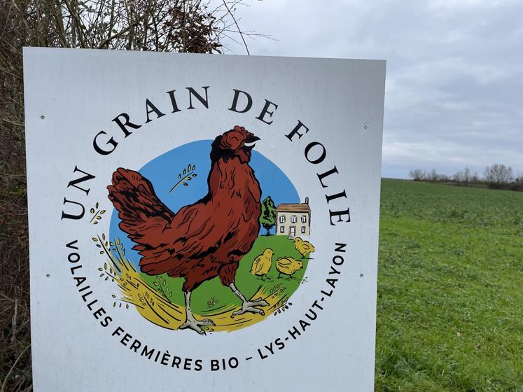 De leur arrivée à l'âge d'un jour jusqu'à leur abattage à la ferme, les volailles sont élevées et nourries avec les céréales bio de l'exploitation. Les poulets sont élevés durant 120 jours.