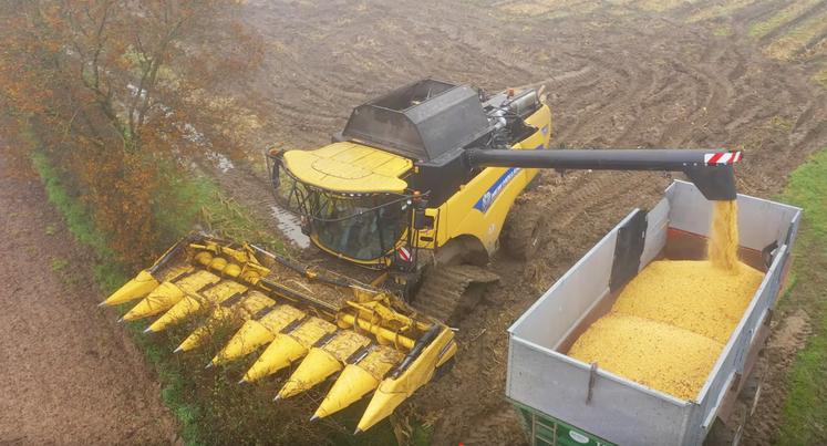 Dans les Mauges, l'entreprise Batardière a sorti les chenilles pour récolter sur des sols détrempés.