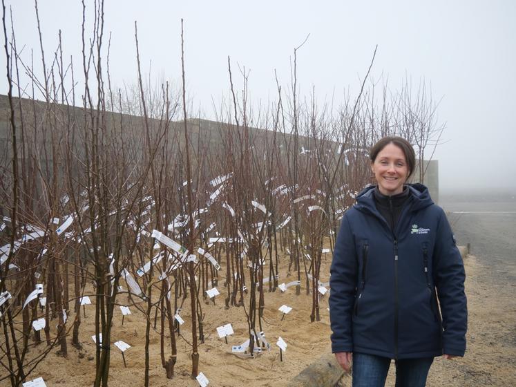 Olivia Beaumont est associée avec son mari depuis le 1er janvier 2024 au sein de l'EARL Les fruitiers d'Émile.