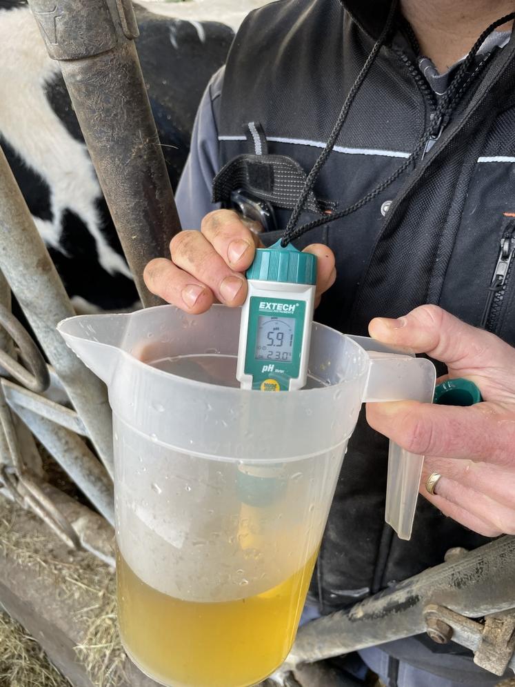 Le pH urinaire des vaches taries en acidification doit être compris entre 6 et 7.