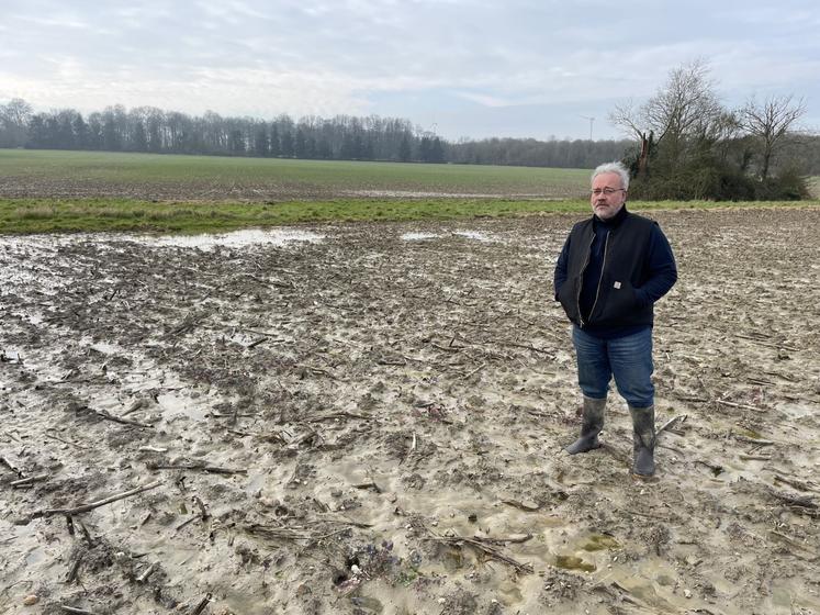 François Bombré, céréalier, dans un bas de parcelle implantée en blé. L'agriculteur estime à 18 ha la surface qu'il devra re-semer cette année.