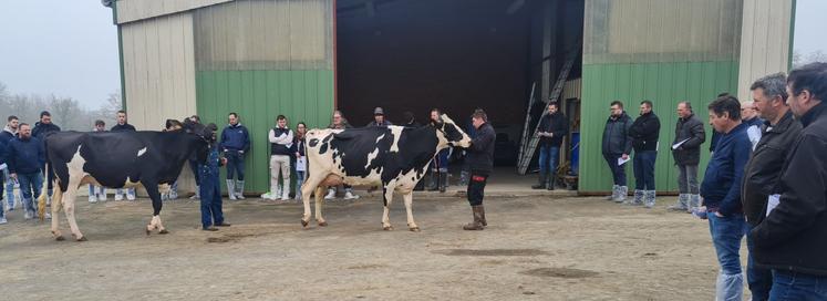 Les participants à l'assemblée générale ont visité le Gaec Leo Holstein.