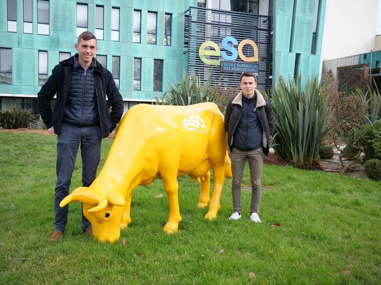 Etudiants à l'Ecole supérieure des agricultures, Maixent Donon et Eliott Chignard suivent un cursus en apprentissage avec le Service de remplacement. Une formule qui va leur permettre de monter en compétences en explorant plusieurs systèmes de production au cours de leur apprentissage. 