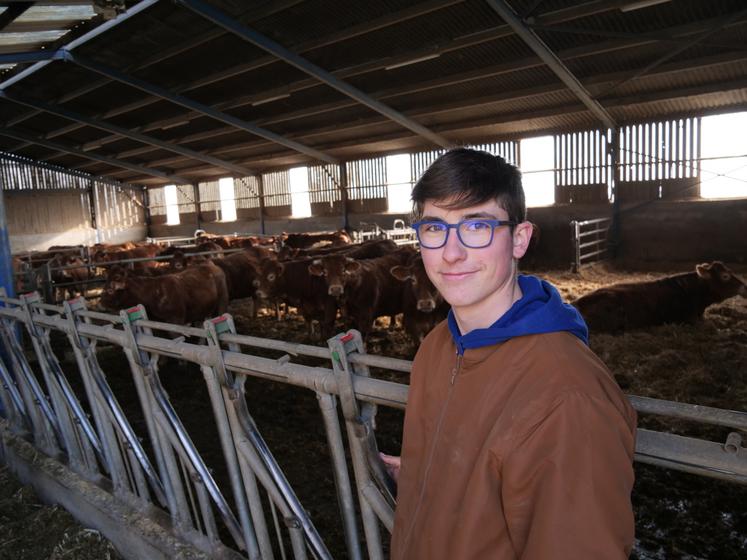 Kylian Juret, apprenti du Gaec Rotureau, est passionné par l'élevage allaitant.