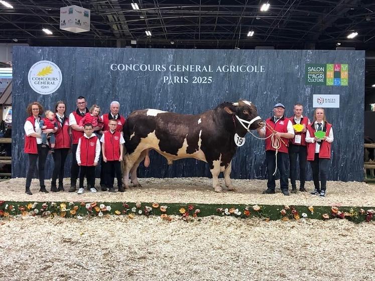 Spiderman, grand champion rouge des prés, est né sur l'exploitation de l'élevage Douet.