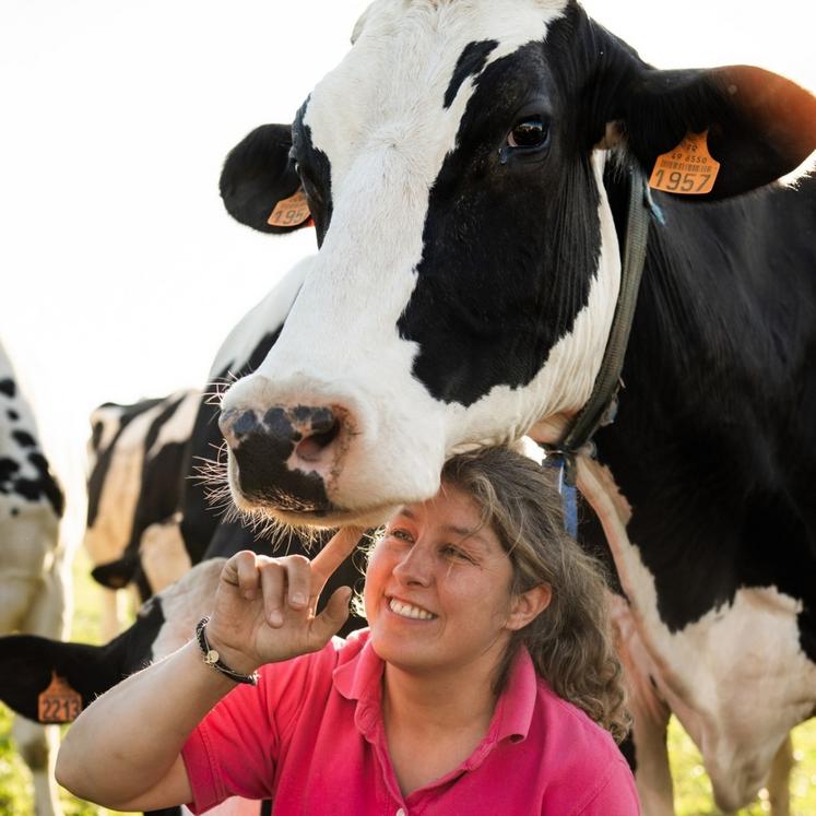 Narcisse est la mascotte de la ferme, présente sur les réseaux sociaux et sur les étiquettes des fromages.