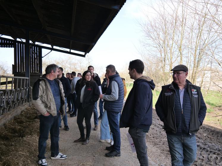 80 personnes étaient présentes à l'assemblée générale des éleveurs limousins angevins.