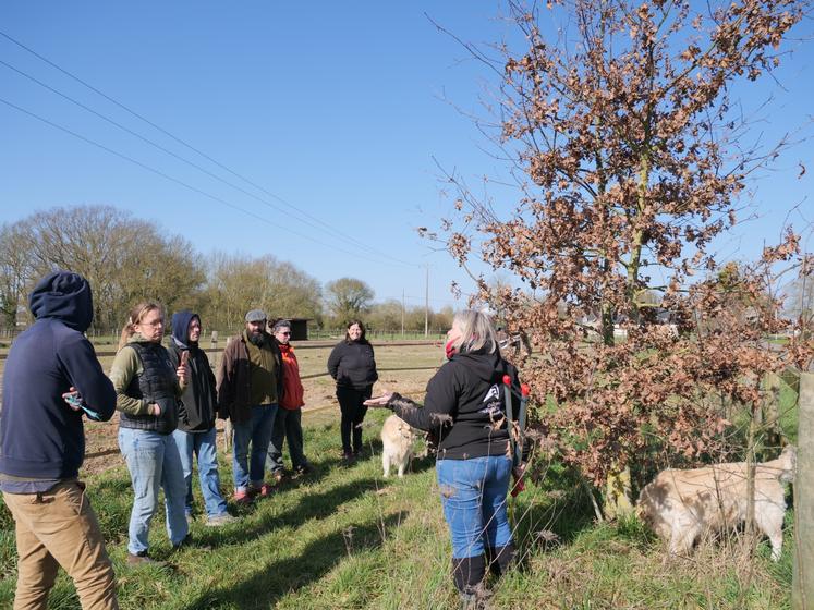 Jeudi 6 mars, Armelle Vinet animait une session de formation de taille hivernale de jeunes haies à Longué-Jumelles.