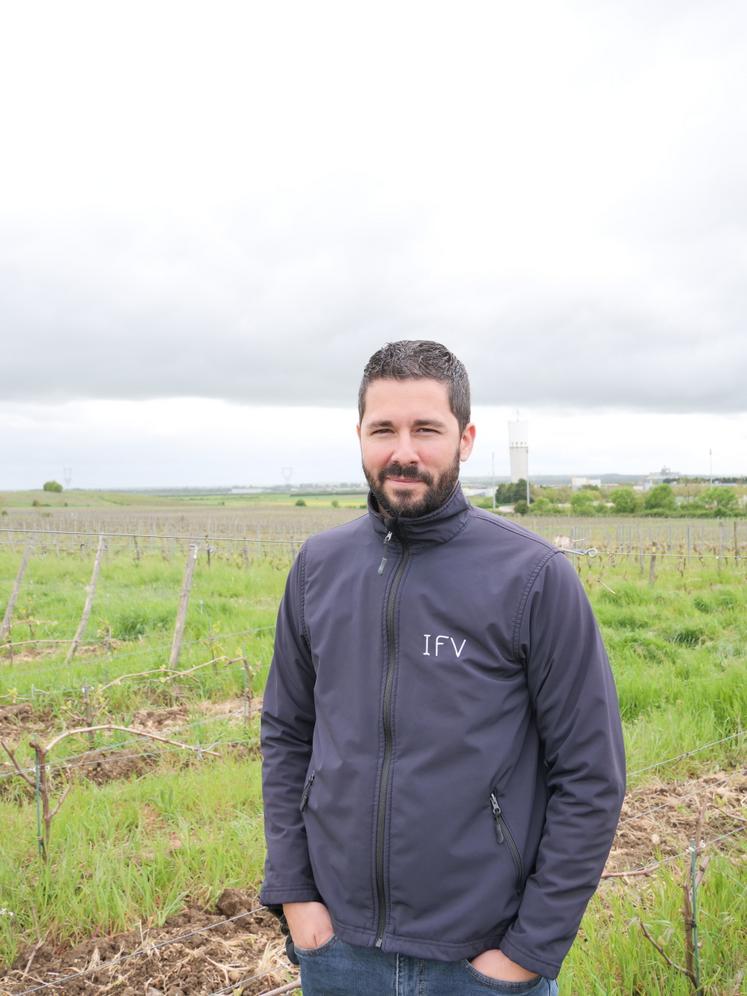 Esteban Fortin, responsable du domaine expérimental de l'IFV.