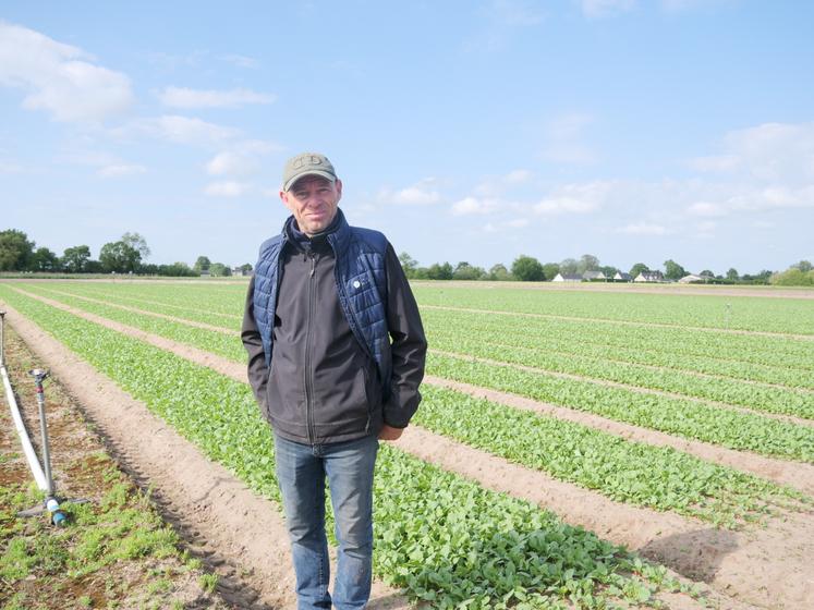 Tony Roger est vice-président de la coopérative légumière Rosée des Champs.