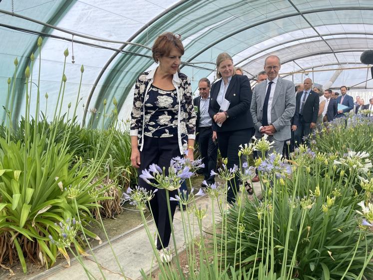 La ministre a visité les serres avec les collections d'agapanthes.