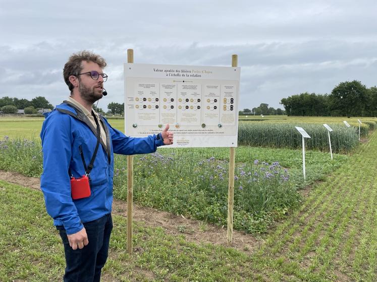 Amaury de Gavelle, responsable adjoint du service céréales au groupe UAPL.