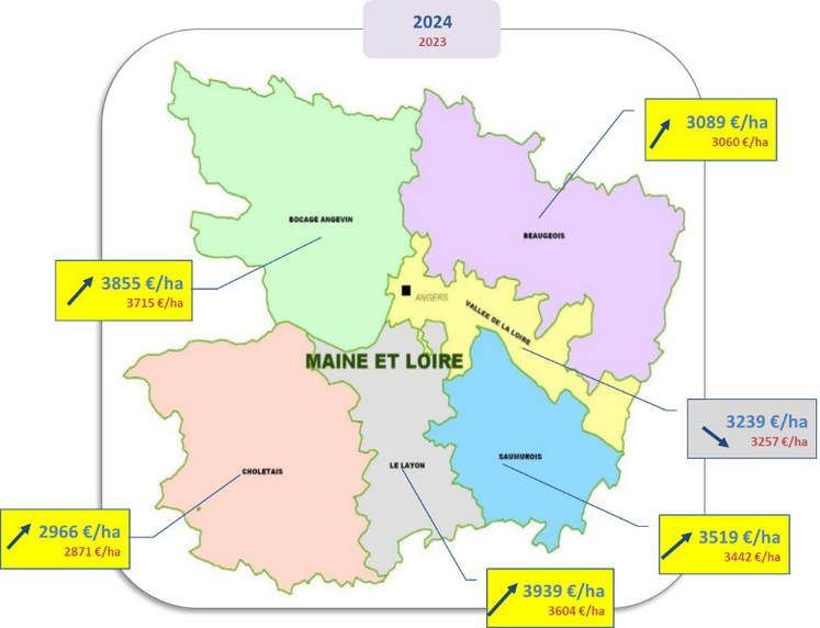 La hausse est plus marquée dans le Maine-et-Loire, où la moyenne progresse dans 5 Petites Régions Agricoles sur 6 et reste assez stable dans la Vallée de la Loire. A l'échelle départementale, le prix moyen progresse globalement à 3400 €/ha et l'écart entre la PRA la plus chère (le Layon à 3939 €/ha) et la moins chère (le Choletais à 2 066€/ha) augmente pour se rapprocher de la barre des 2 000 €/ha.