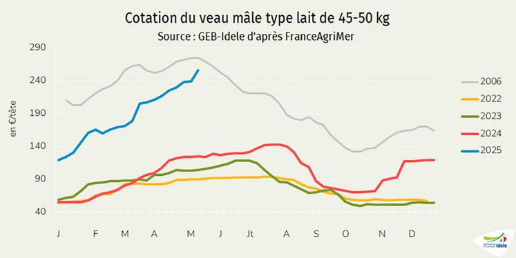 Évolution de la cotation du veau mâle type laitier