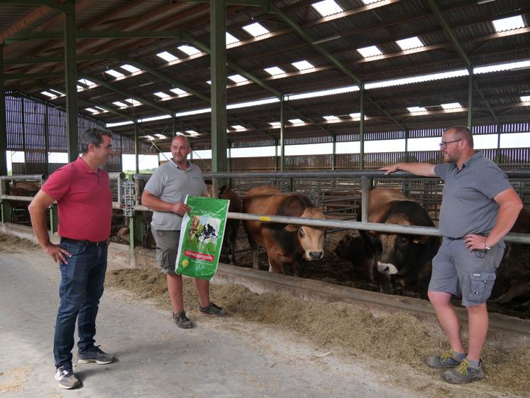 Les éleveurs Nicolas Marquet et Florian Trichet ont fait appel à leur technicien cultures Romain Boussiron pour trouver des semences de sorgho multicoupe.