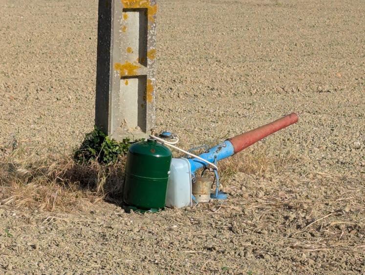 Les canons à gaz sont autorisés tous les jours de la semaine, de l'heure du lever du soleil jusqu'à l'heure du coucher.