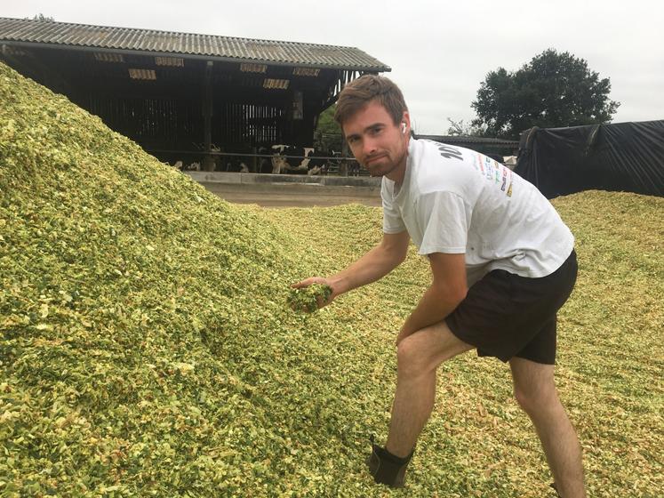 Rémi Langlais conduisait ce début de semaine l'ensilage de 50 ha de maïs grâce à l'ensileuse de la Cuma de Souillé et au soutien de ses voisins.