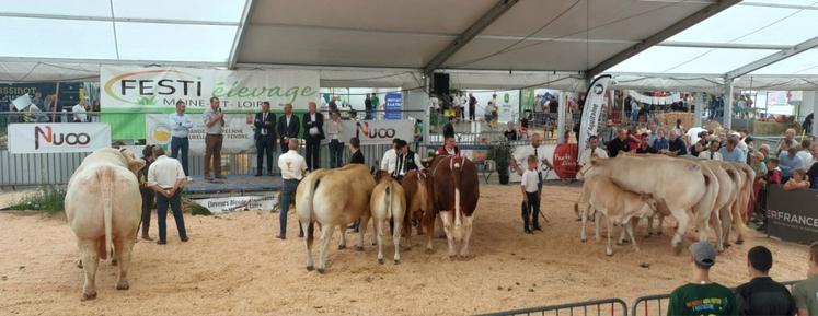 Festi'Elevage 2025, le défilé des champions et championnes