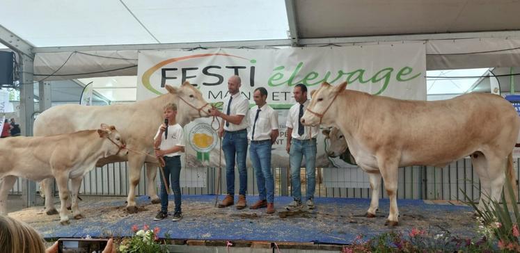 Pour la première fois, la race Blonde d'Aquitaine était la race à l'honneur, lors de ce Festi'Elevage 2025.