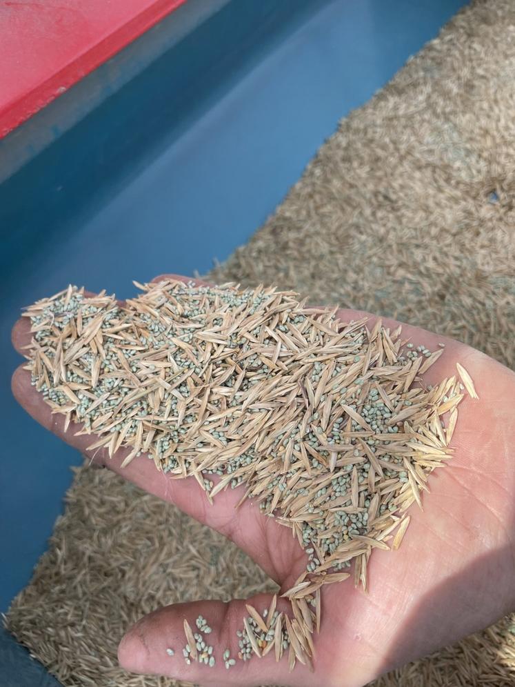 Le mélange (25 kg de brome, 20 kg de luzerne et 2 kg de trèfle violet) a été semé sur 16 ha dans de bonnes conditions.