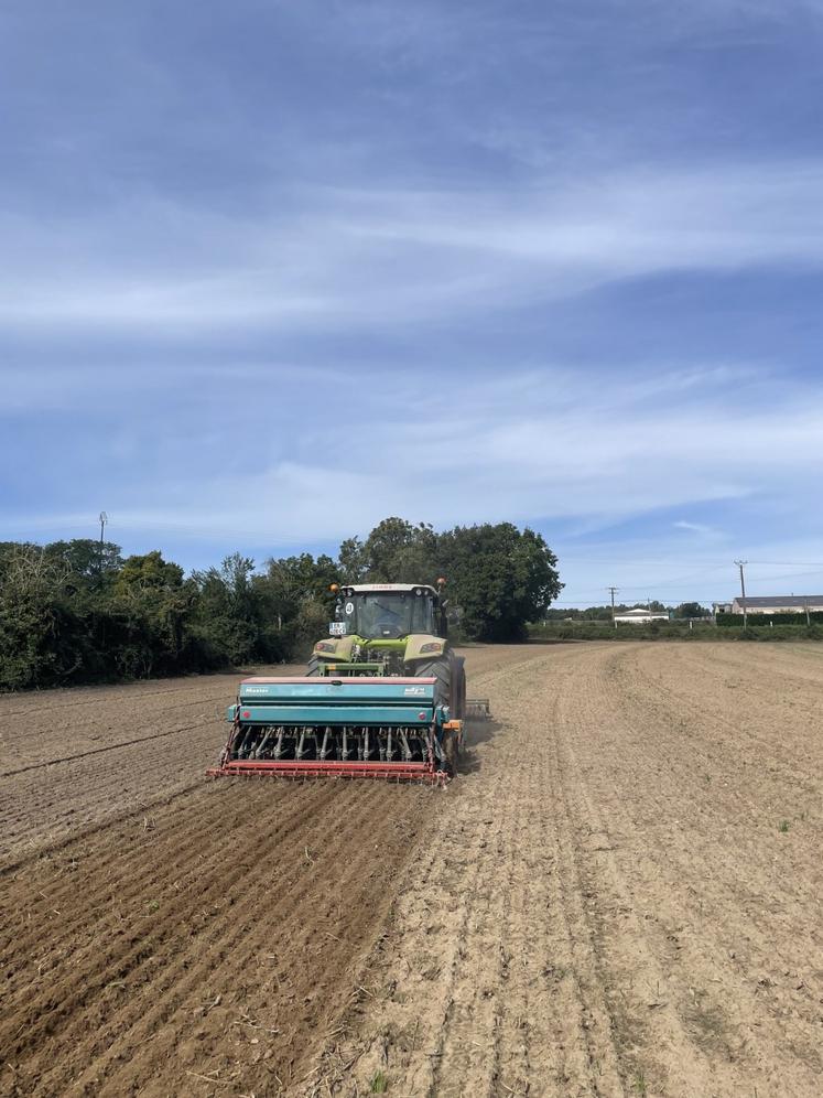 Le semis a été réalisé la semaine dernière sur la ferme expérimentale des Trinottières.