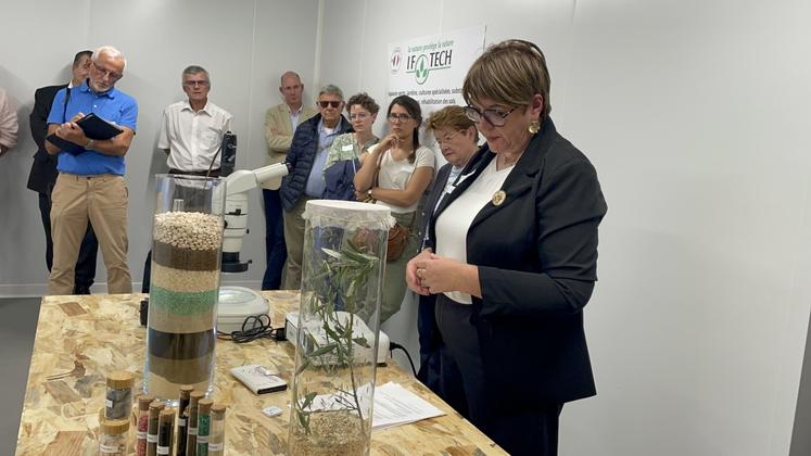 Anthonya Granit, responsable commerciale d'If Tech, a présenté les produits de biocontrôle, en particulier les chrysopes.