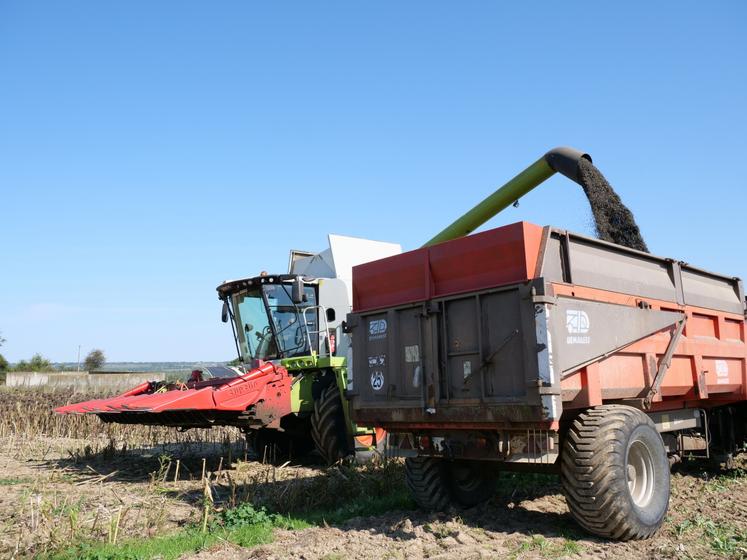 Vendredi 19 septembre, l'entreprise Defois est intervenue à Chanteloup les bois.