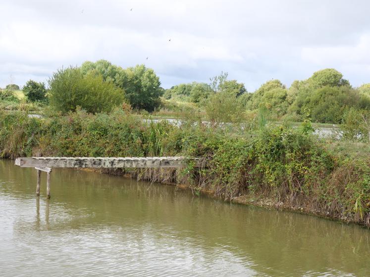 La filière aquacole des Pays de la Loire est organisée en une association, la Fap. Présidée par Charlotte Schoelinck, cofondatrice de la société Lisaqua, qui élève des crevettes en circuit fermé à Saint Herblain, elle porte la voix des aquaculteurs ligériens auprès des différentes instances décisionnelles.