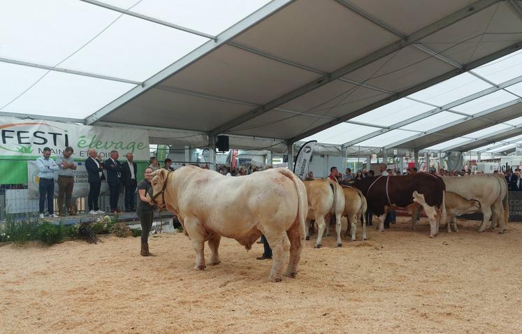 Le défilé des champions et championnes de ce Festi'Elevage 2025