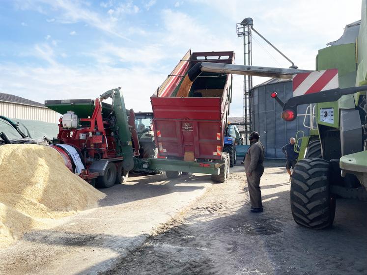 Le maïs est versé de la moiss'batt vers une benne, puis passe dans le broyeur à vis, avant d'être expulsé et stocké en silo libre comme ici, ou en boudin.